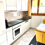Gian - Close To The Kongresshaus, The Ice Hockey Stadium, Cross-country Skiing, The Eau-la-la Indoor Pool And Wellness, Large Supermarket, 2 Bus Stops, With An Indoor Garage And Fully Equipped Davos