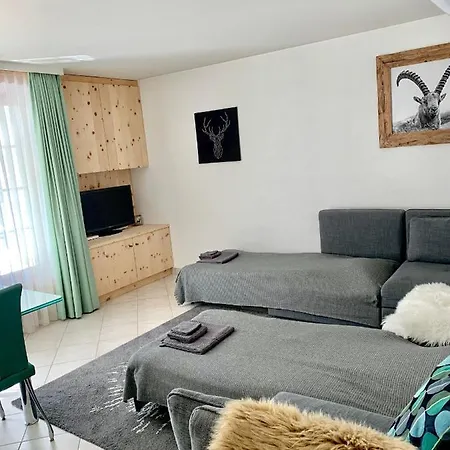 Gian - Close To The Kongresshaus, The Ice Hockey Stadium, Cross-country Skiing, The Eau-la-la Indoor Pool And Wellness, Large Supermarket, 2 Bus Stops, With An Indoor Garage And Fully Equipped