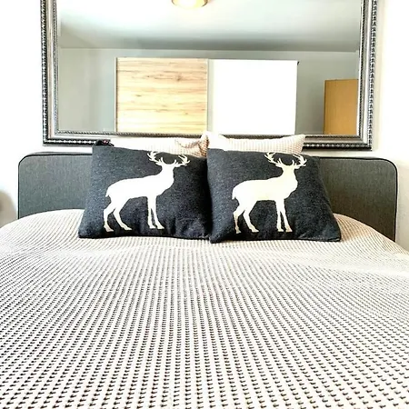 아파트 Gian - Close To The Kongresshaus, The Ice Hockey Stadium, Cross-country Skiing, The Eau-la-la Indoor Pool And Wellness, Large Supermarket, 2 Bus Stops, With An Indoor Garage And Fully Equipped