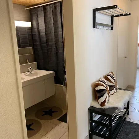 Gian - Close To The Kongresshaus, The Ice Hockey Stadium, Cross-country Skiing, The Eau-la-la Indoor Pool And Wellness, Large Supermarket, 2 Bus Stops, With An Indoor Garage And Fully Equipped Lägenhet *