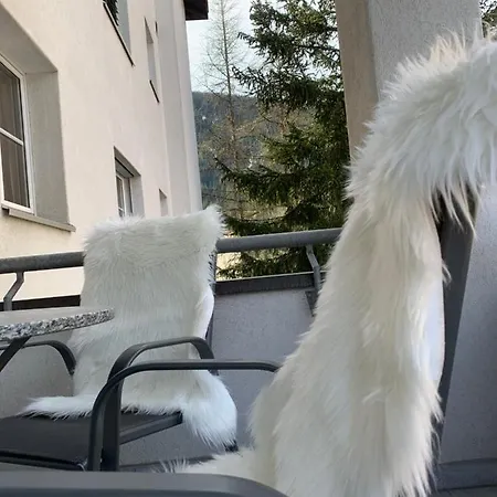 Gian - Close To The Kongresshaus, The Ice Hockey Stadium, Cross-country Skiing, The Eau-la-la Indoor Pool And Wellness, Large Supermarket, 2 Bus Stops, With An Indoor Garage And Fully Equipped Lägenhet