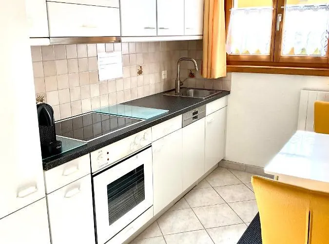 Gian - Close To The Kongresshaus, The Ice Hockey Stadium, Cross-country Skiing, The Eau-la-la Indoor Pool And Wellness, Large Supermarket, 2 Bus Stops, With An Indoor Garage And Fully Equipped Davos