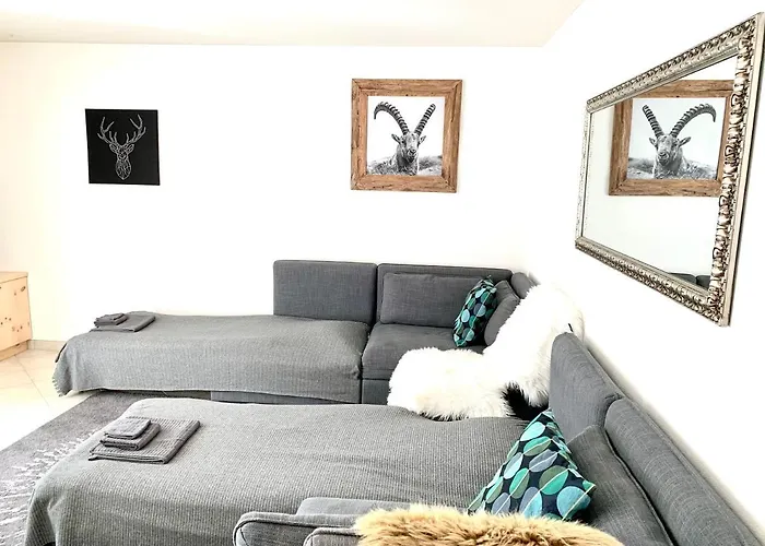 公寓 Gian - Close To The Kongresshaus, The Ice Hockey Stadium, Cross-country Skiing, The Eau-la-la Indoor Pool And Wellness, Large Supermarket, 2 Bus Stops, With An Indoor Garage And Fully Equipped *