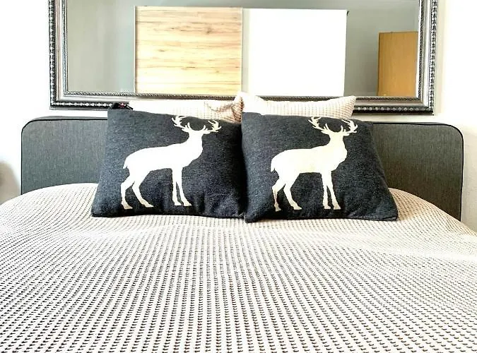 Apartamento Gian - Close To The Kongresshaus, The Ice Hockey Stadium, Cross-country Skiing, The Eau-la-la Indoor Pool And Wellness, Large Supermarket, 2 Bus Stops, With An Indoor Garage And Fully Equipped