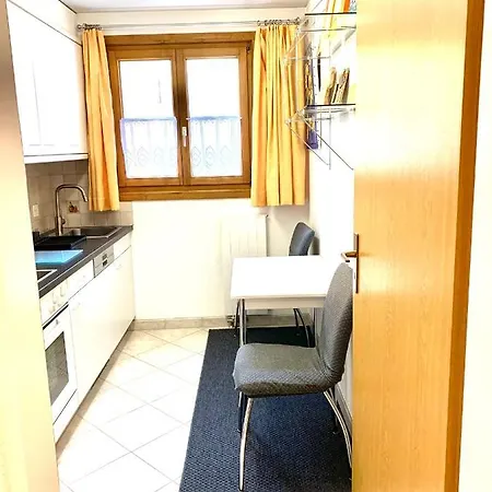 Gian - Close To The Kongresshaus, The Ice Hockey Stadium, Cross-country Skiing, The Eau-la-la Indoor Pool And Wellness, Large Supermarket, 2 Bus Stops, With An Indoor Garage And Fully Equipped Apartment