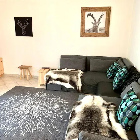 Gian - Close To The Kongresshaus, The Ice Hockey Stadium, Cross-country Skiing, The Eau-la-la Indoor Pool And Wellness, Large Supermarket, 2 Bus Stops, With An Indoor Garage And Fully Equipped Apartment *